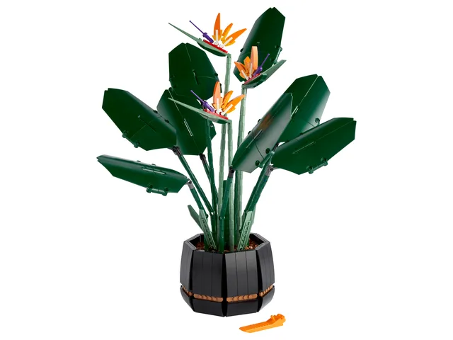 LEGO Bird of Paradise (2021)